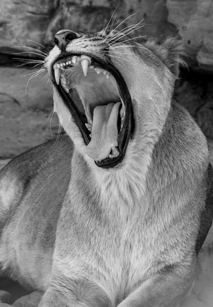 Photograph by Алексей Крукович