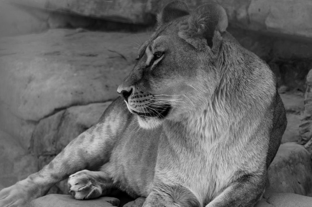 Photograph by Алексей Крукович