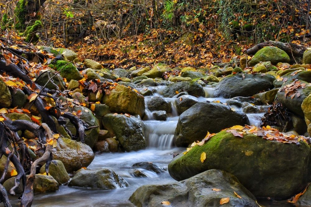 Photograph by seyyed mohammad andy