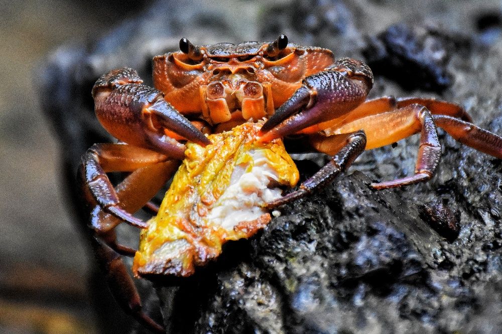 Photograph by seyyed mohammad andy