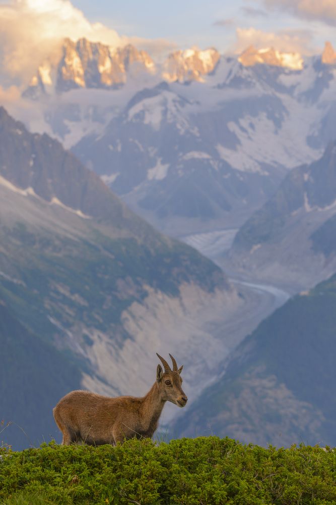 Photograph by Razvan Iliescu