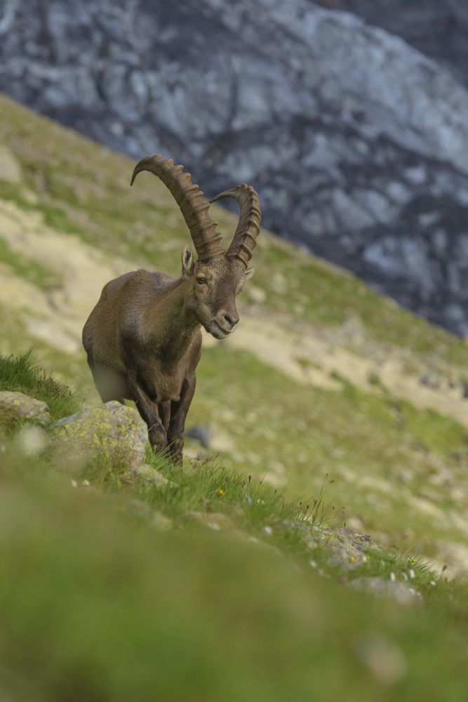 Photograph by Razvan Iliescu