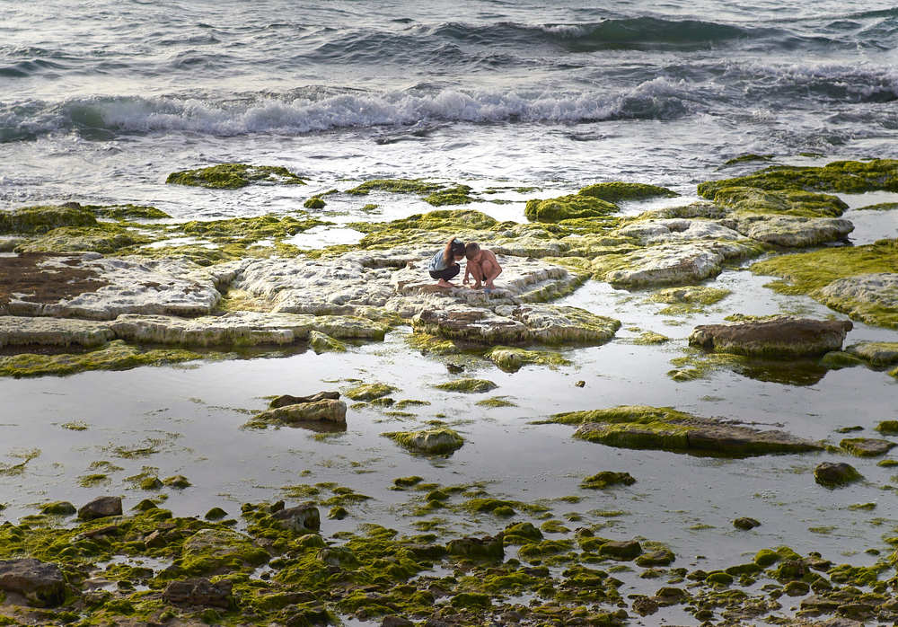 Фотография автора David Solodar