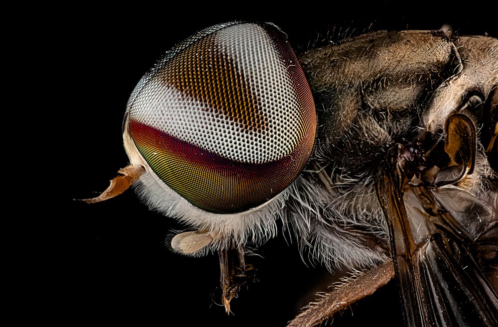 Photograph by Vinodkumar S