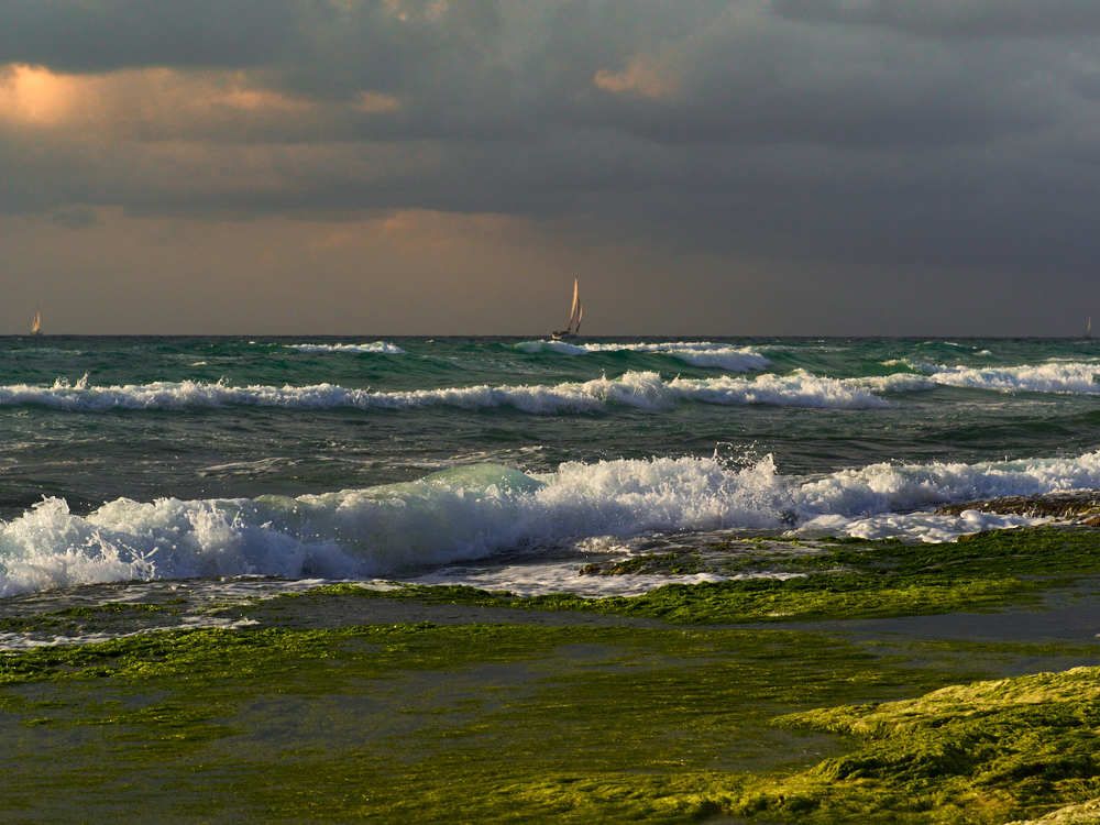 Фотография автора David Solodar