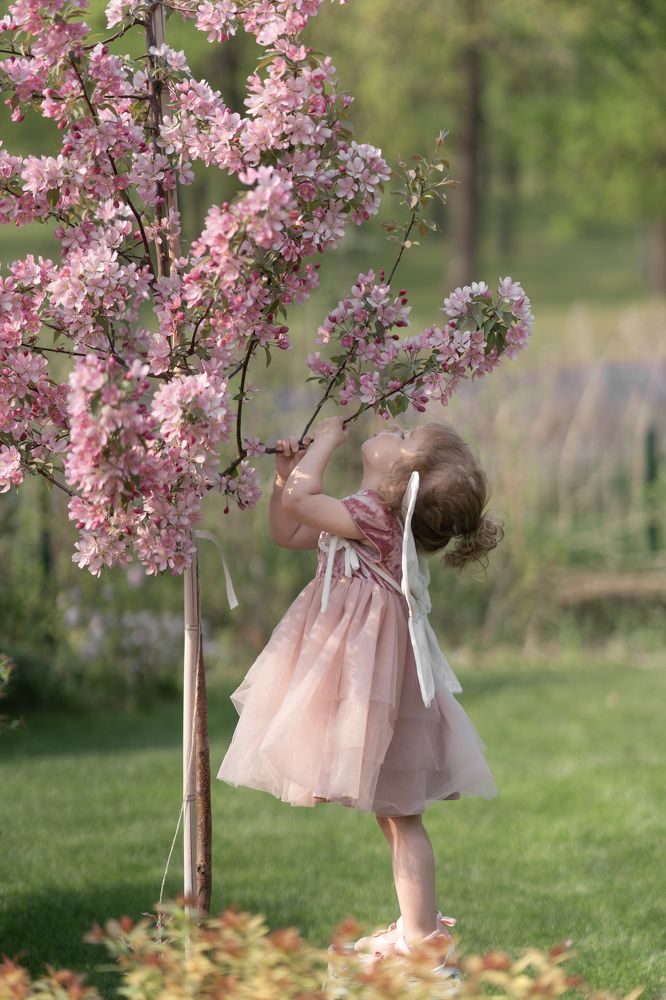 Photograph by екатерина Толстоусова