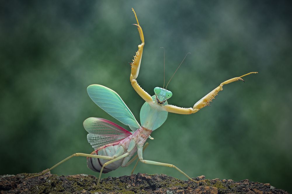 Photograph by way pang