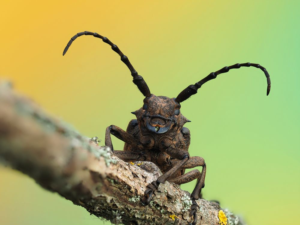 Photograph by Евгений Лукашук