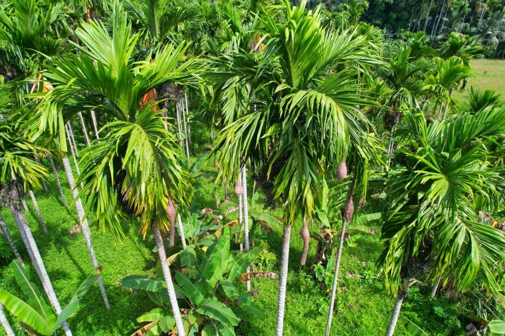 Photograph by Drone2Draw Aerial View Photography