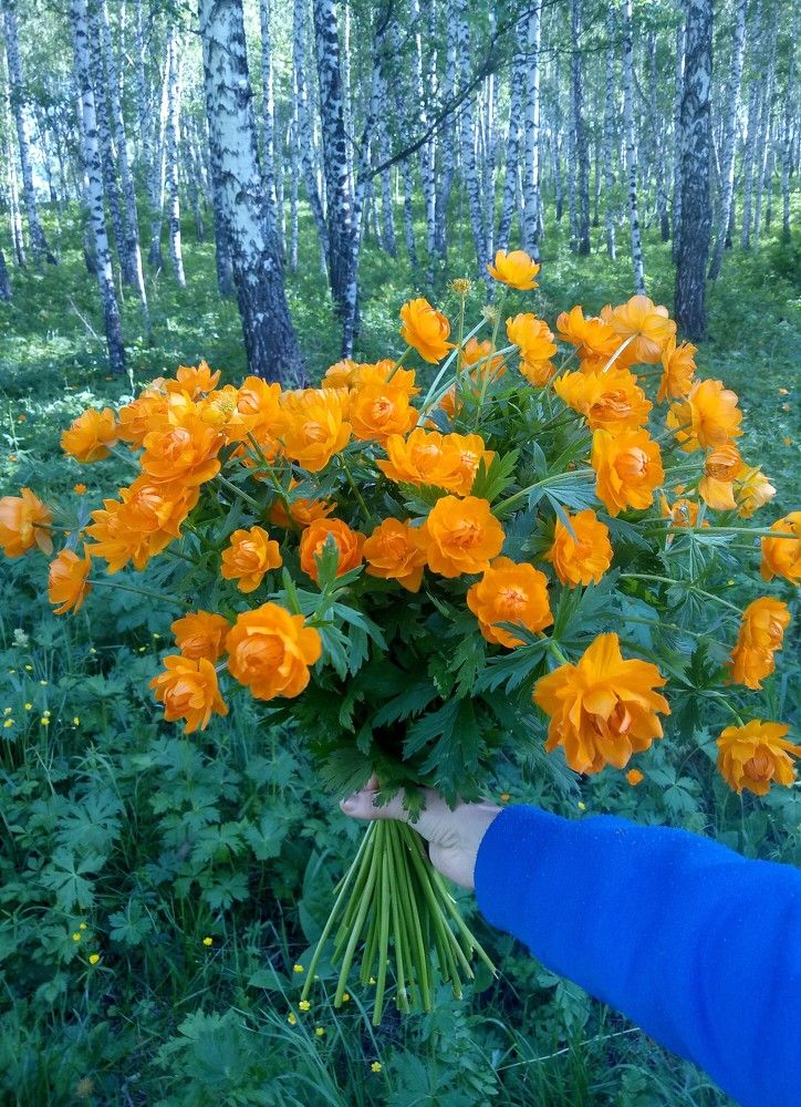 Photograph by Nokhrina Natalia