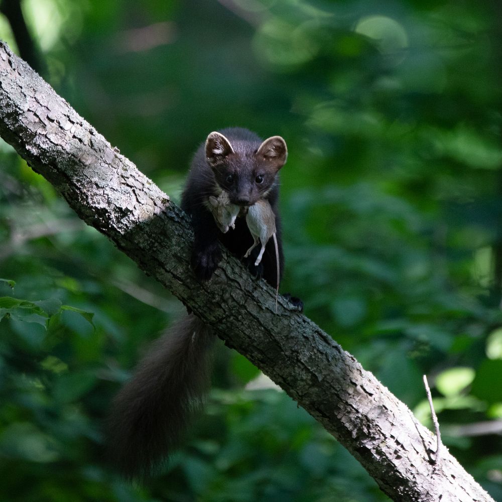 Photograph by Евгения Журавлева