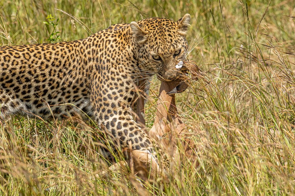 Photograph by Sasidhar Ravinuthala