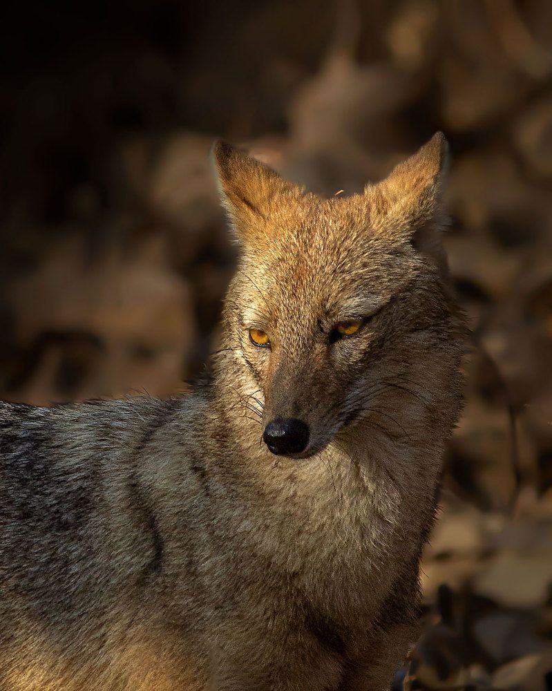 Its all about the attitude that you have.