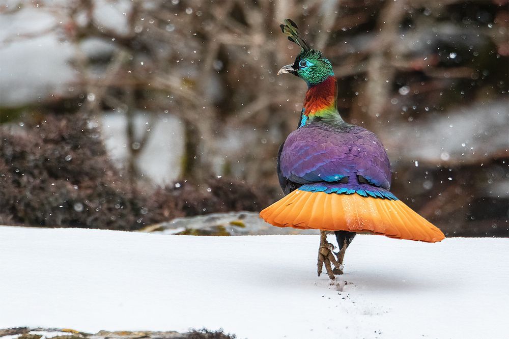 Photograph by Sandeep Shroff