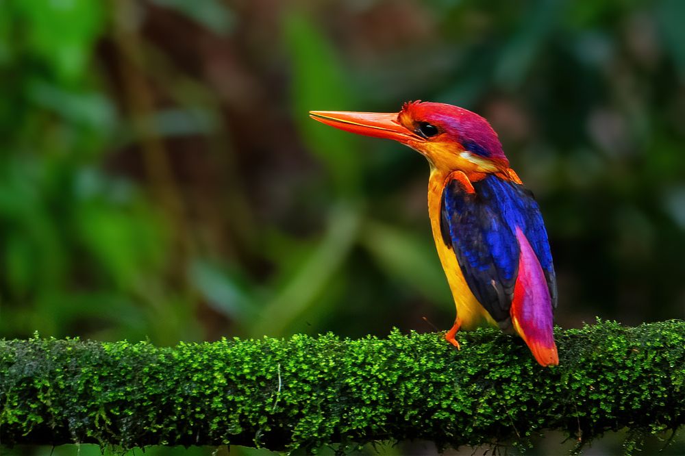 Photograph by Sandeep Shroff