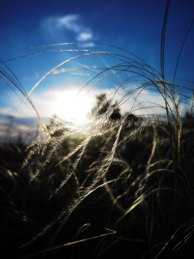 Photograph by Роман Шабан