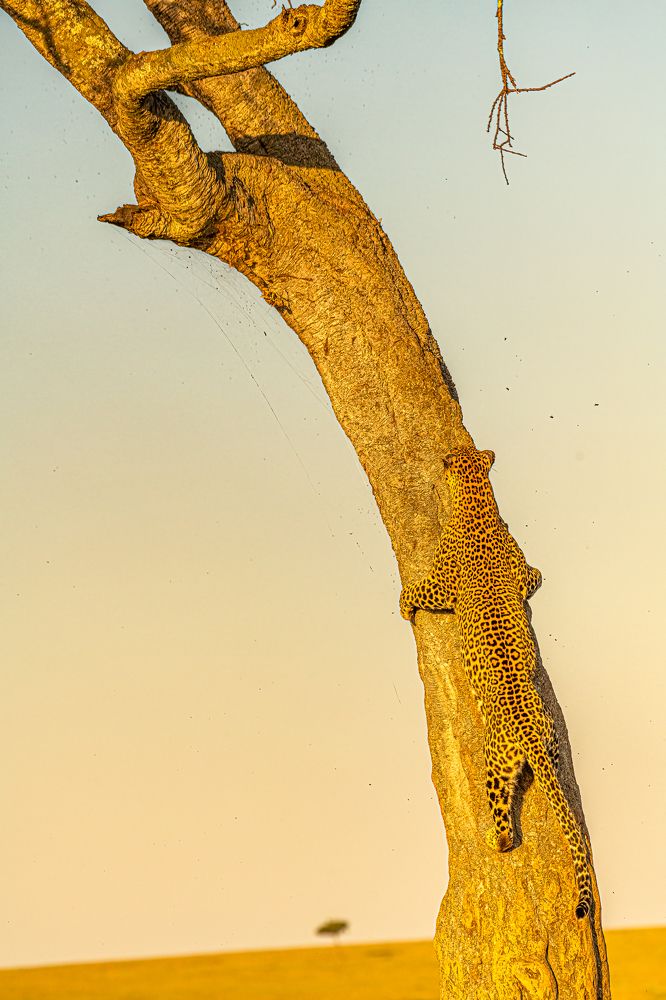 Photograph by Sasidhar Ravinuthala