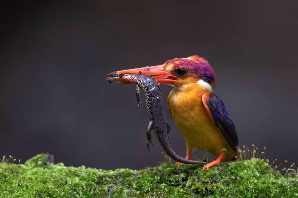 Photograph by Bhavesh Rathod