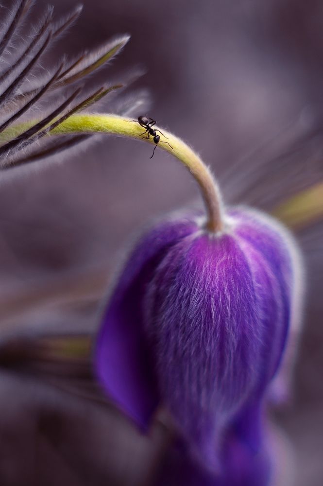 Photograph by Расторгуева Оксана