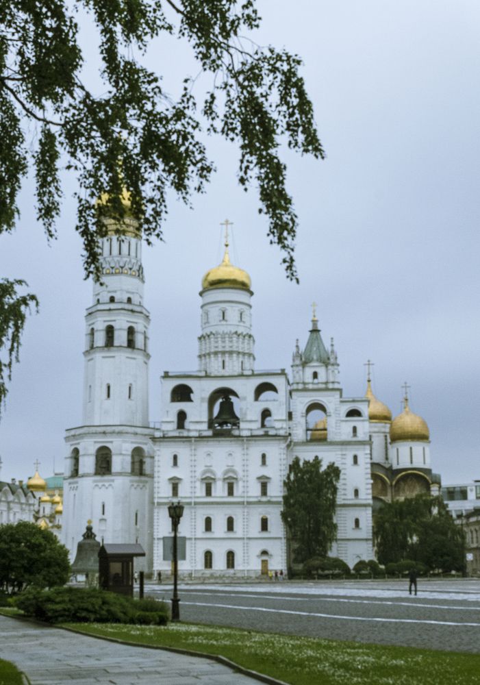 Photograph by Попел Ирина