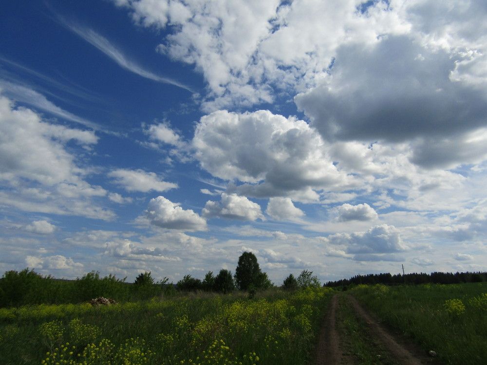 Photograph by Николай Худяков