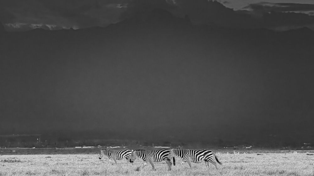 Photograph by Sasidhar Ravinuthala