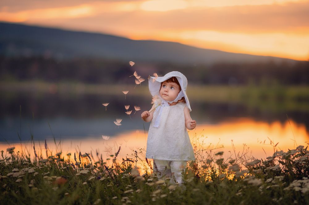 Одуванчики