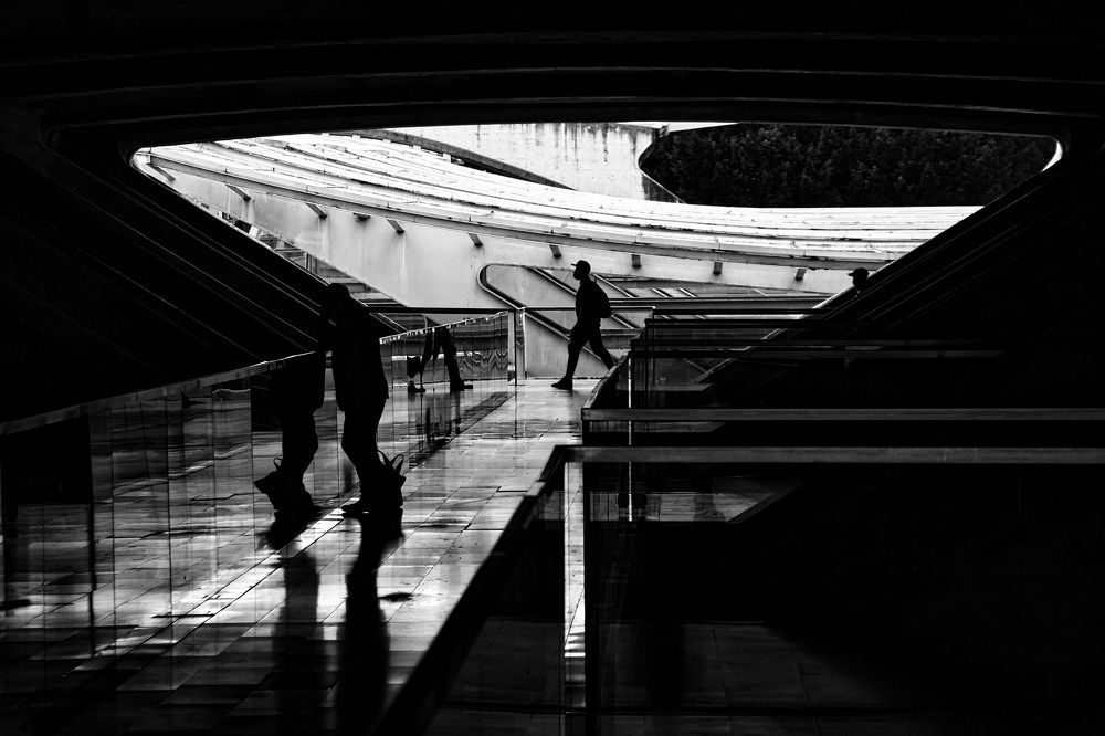 Photograph by Nuno Lorga