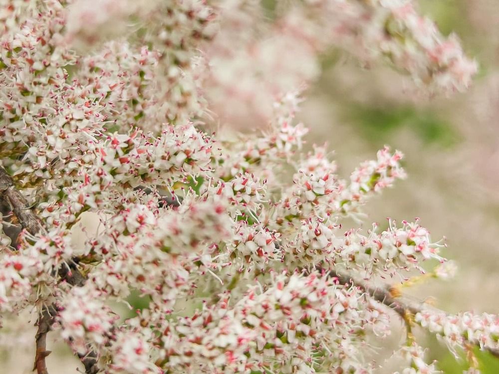 Photograph by Карина Берещанская