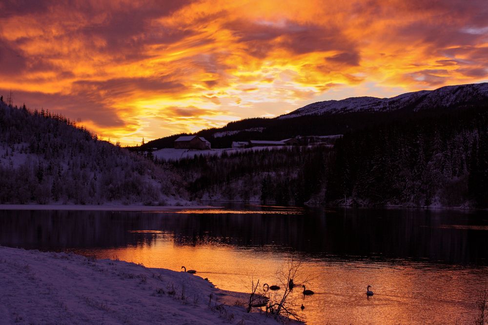 Winter sunset on the Nidelva river..