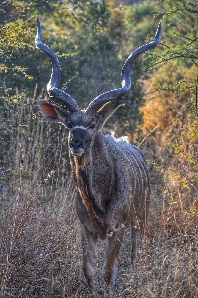 Photograph by Kriti Aggarwal