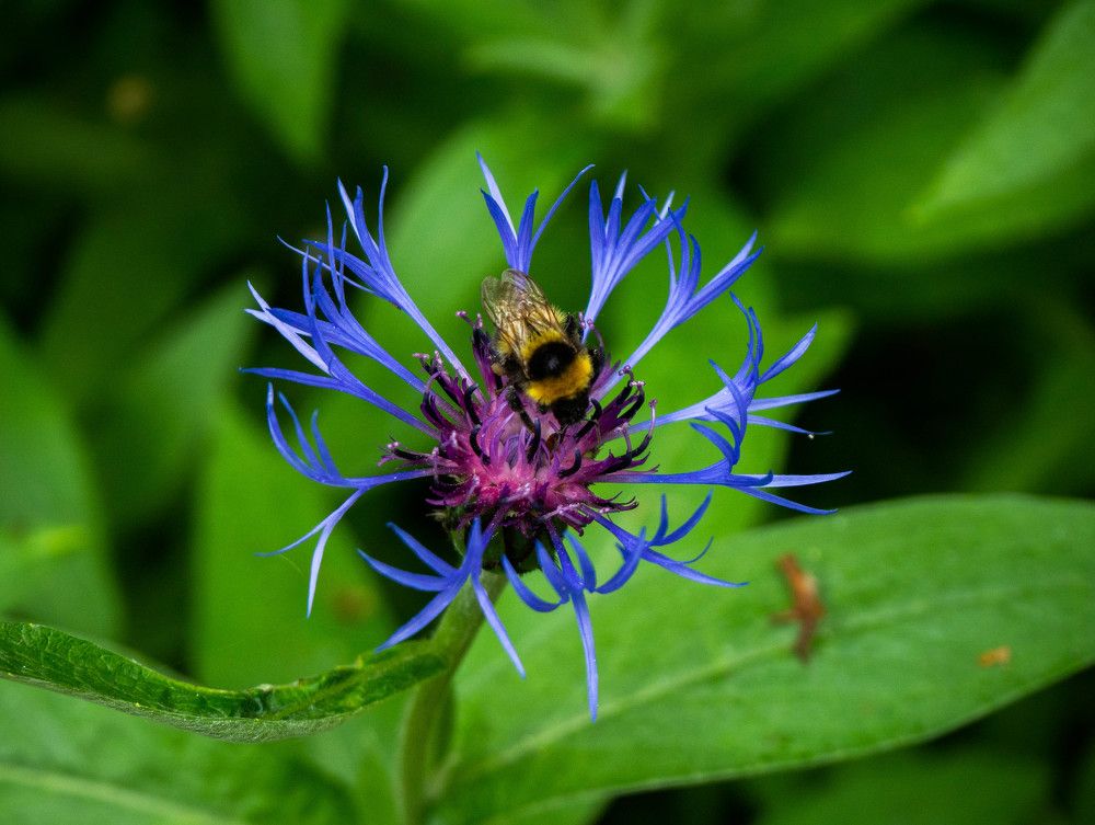 Photograph by Денис Скворцов