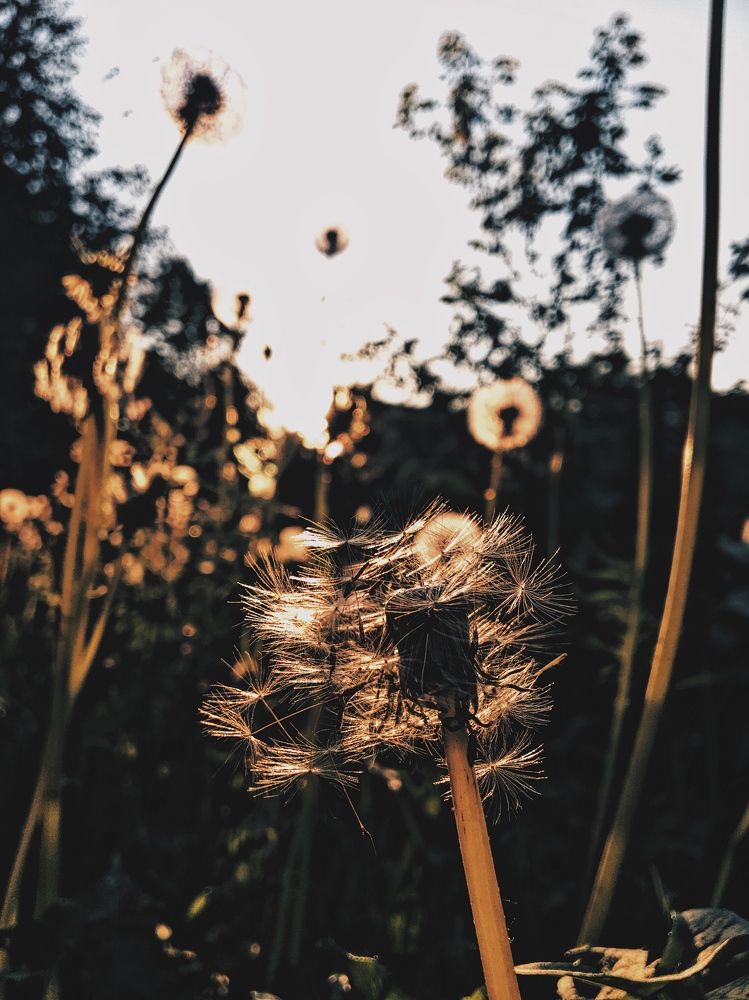 Photograph by Гребёнкина Ирина