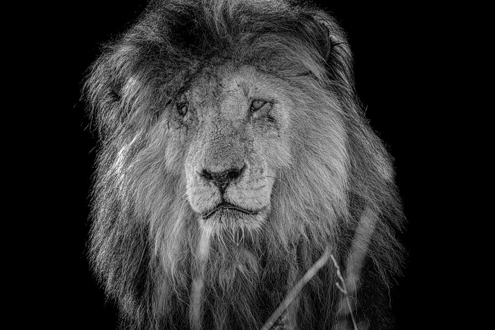 Photograph by Sasidhar Ravinuthala