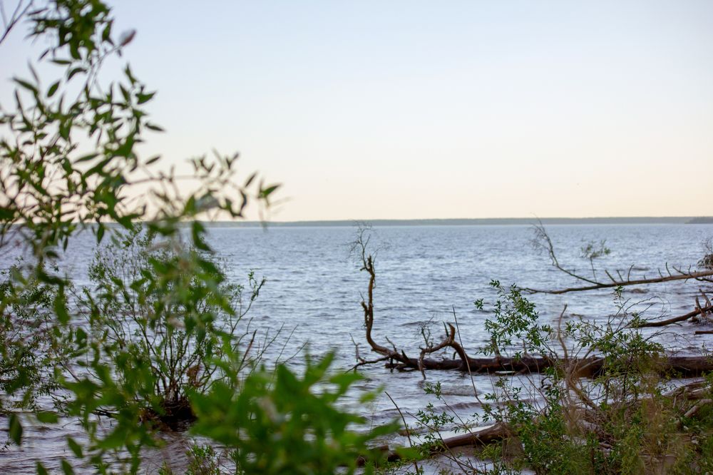 Photograph by Татьяна Казакова