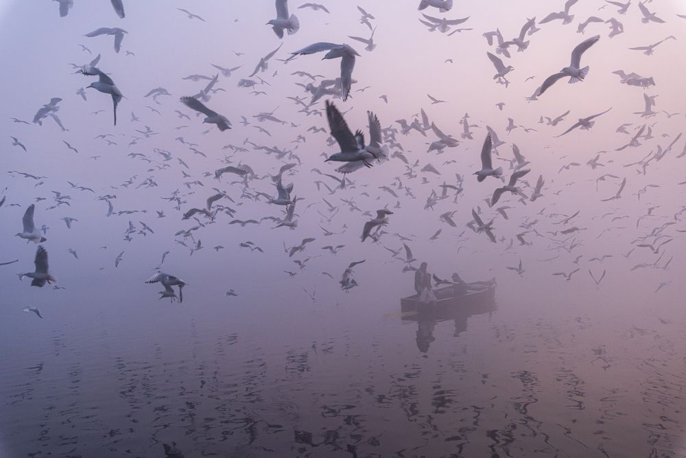 Foggy morning at Yamuna