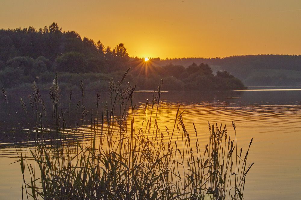 Photograph by Татьяна Полянская