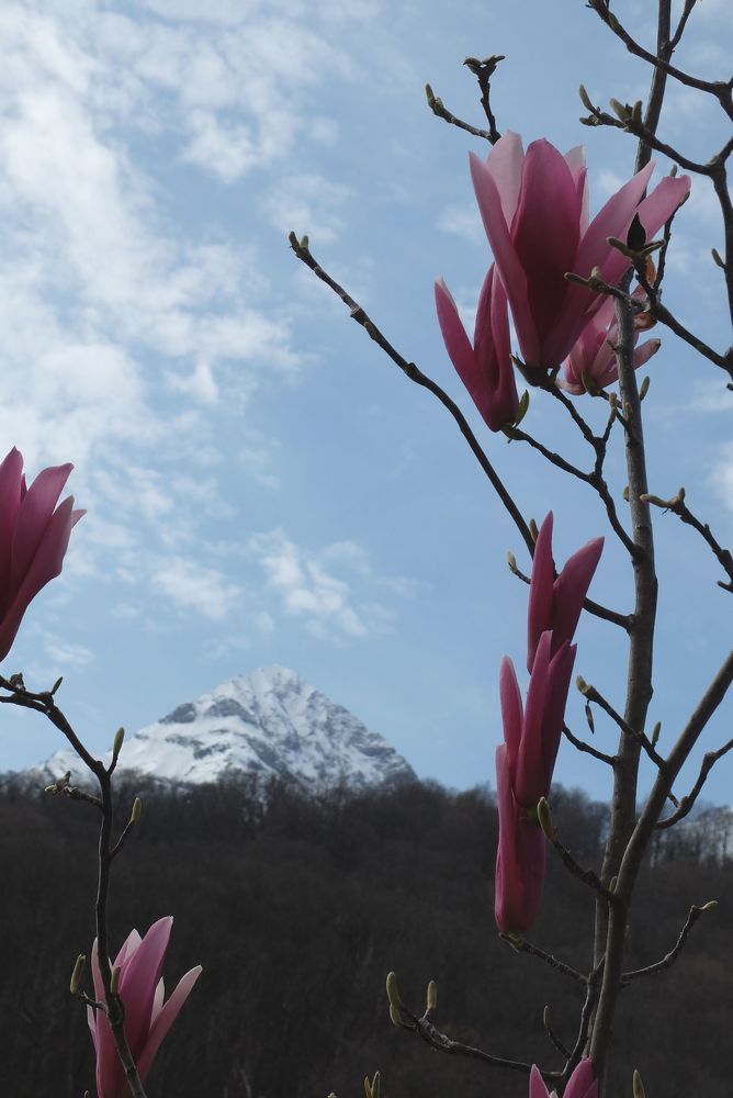 Photograph by Ираида Стародубцева