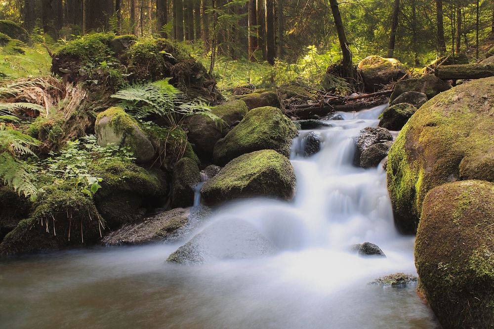 Stream on Harghita 6