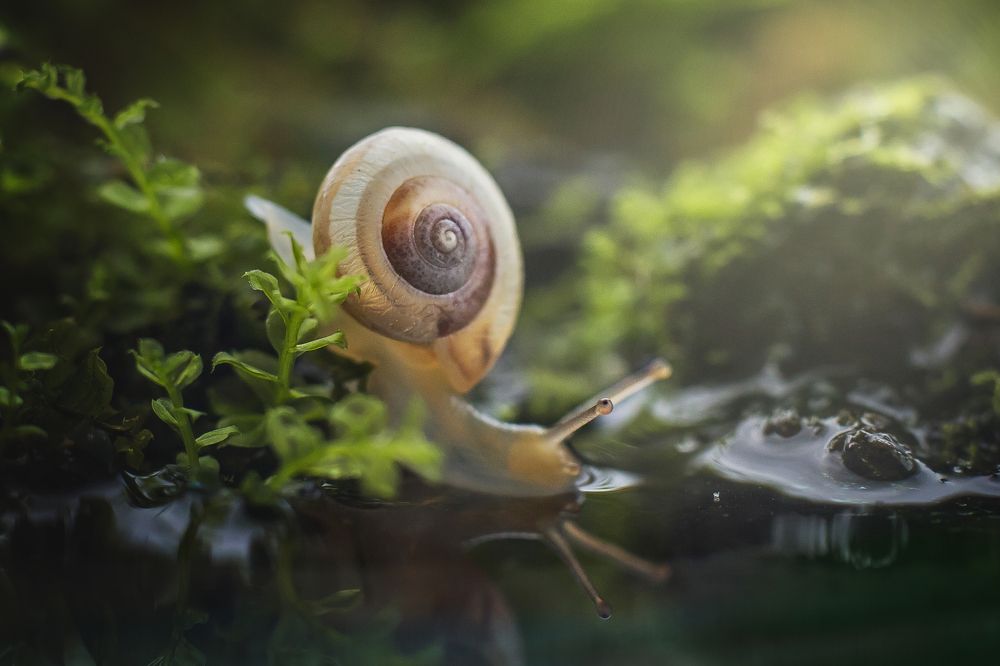 Photograph by Виктория Мамаева