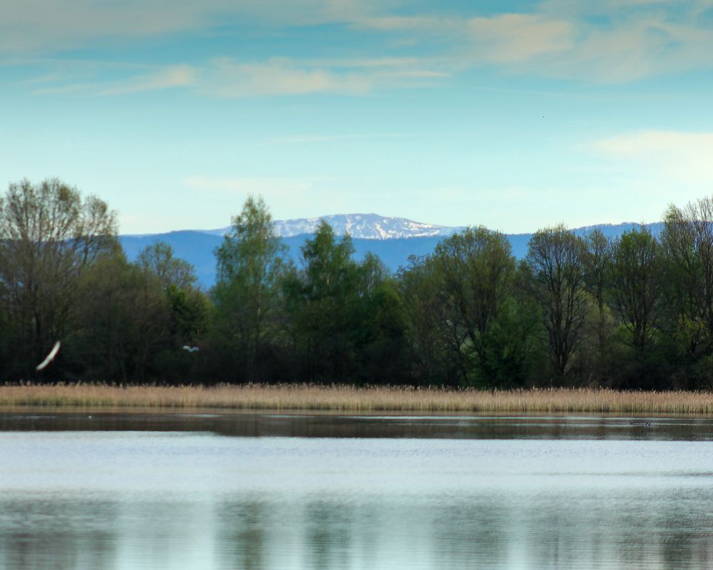 Photograph by Dariusz Pańczyk