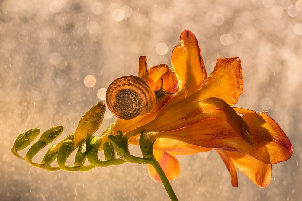 Photograph by Виктория Солодар