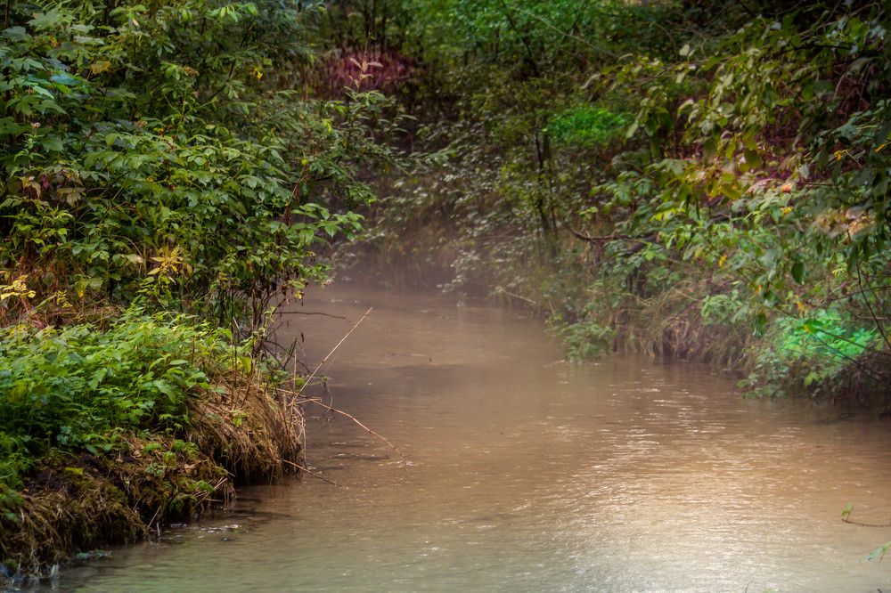 Photograph by Dariusz Pańczyk