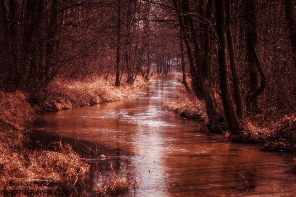 Photograph by Dariusz Pańczyk