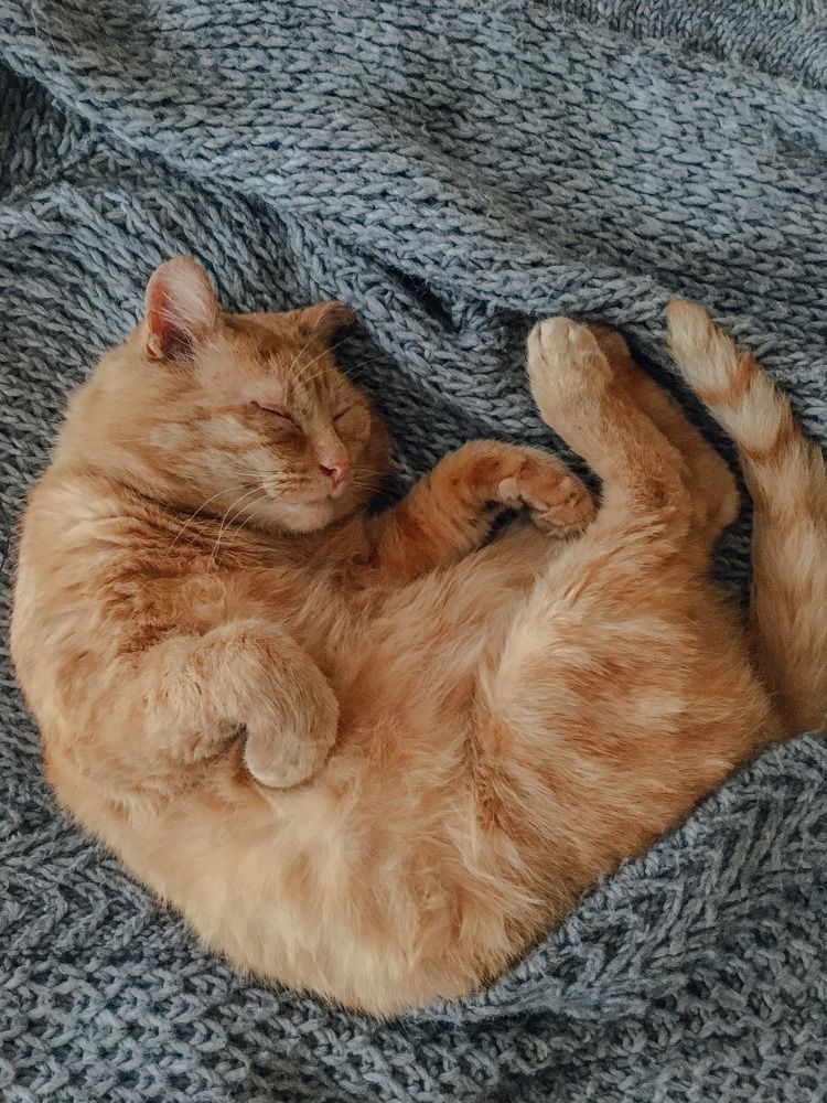 Photograph by Юлія Доманська