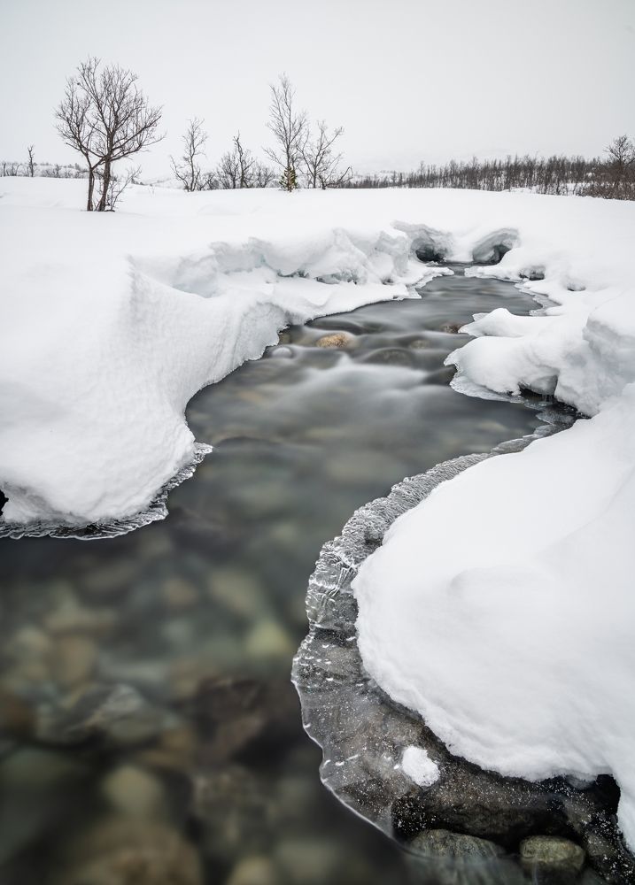 Photograph by Василий Яковлев