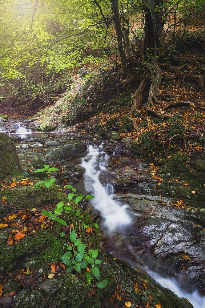 Photograph by Kian Kiyaei