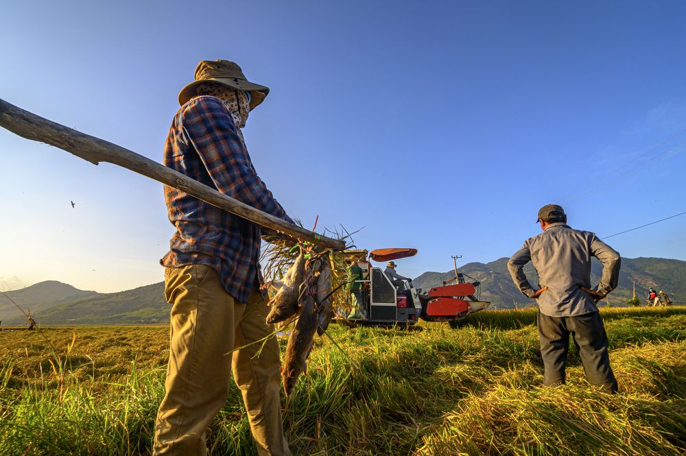 Photograph by Tran Khoa