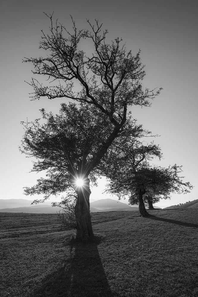 Photograph by Kian Kiyaei