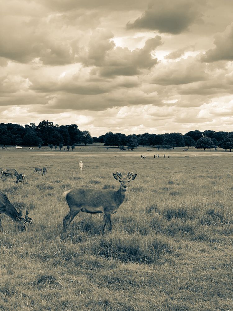 Photograph by LIviu-Andrei Enache